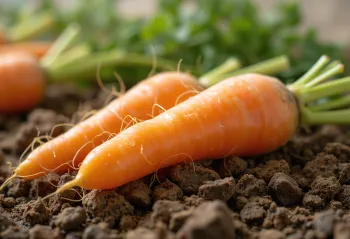 Verse wortels met groen loof op een rustieke houten ondergrond