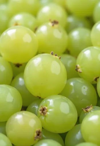 Verse groene en rode kruisbessen in plakjes, met blad op een houten oppervlak