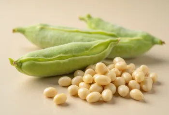 Sojabonen in een keramieken kom en uitgestrooid op een houten tafel, met edamame peulen